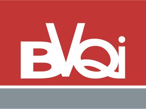 BVQI ISO Certification Partner