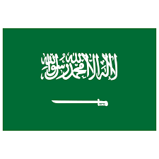 provide iso certification and consulting service Middle East region