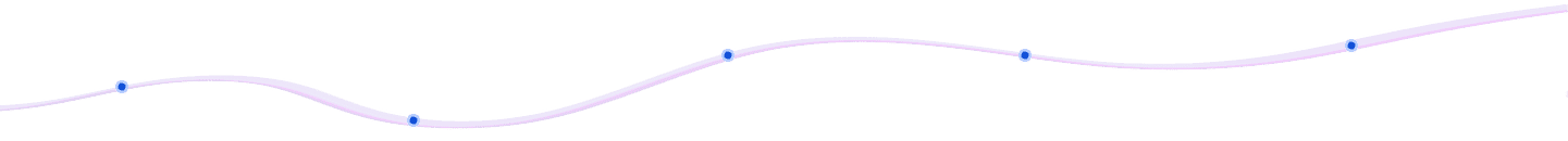 Project Workflow