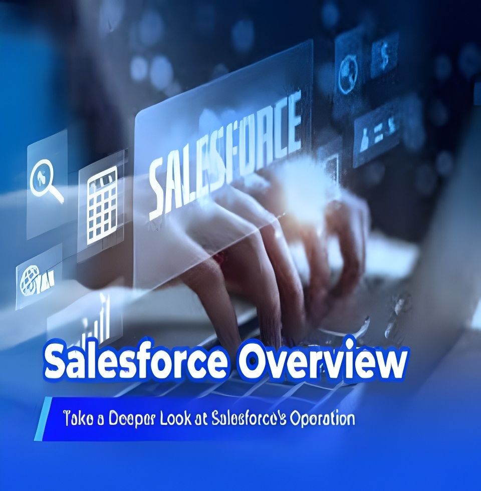 salesforce service Provided by Mehta Websolution
