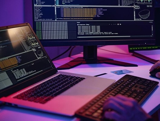 Software Development Services by Mehta Websolution