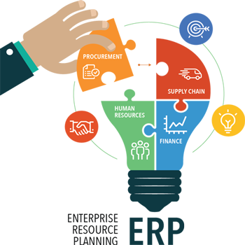 ERP Solutions,Mehta Websolution
